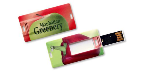 Mini USB drive with Manhattan cover